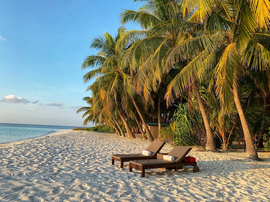 Tropical Temptations: Island Boys Embracing New Pleasures