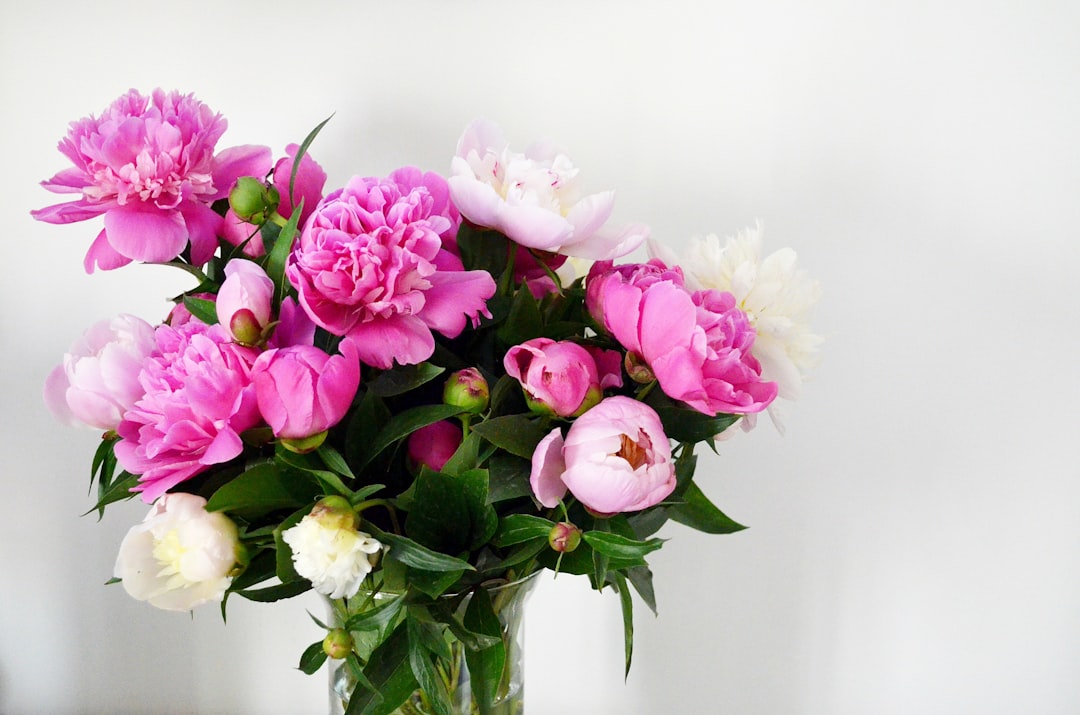 Bringing Posy Flowers into Your Life: A Guide to Brighten Your Day