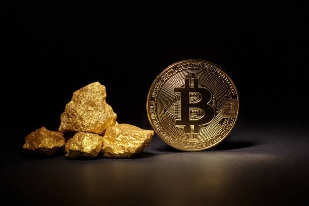 Bitcoin Price and Market Sentiment: Understanding Investor Psychology